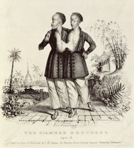 Die siamesischen Brüder, 18 Jahre alt, gedruckt von Charles Hullmandel (1789-1850), ca. 1829