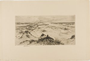 Über die Sanddünen schauen - Easthampton