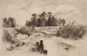 Sumpflandschaft mit Bach von Thomas Moran