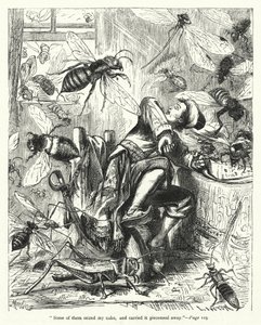 Illustration für Gullivers Reisen von Jonathan Swift von Thomas Morten