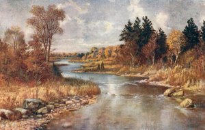 Im Elchland, nahe Lake Superior