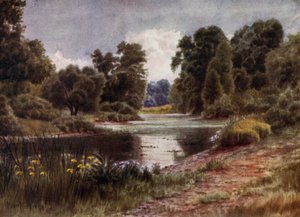 Kew Gardens: Der See, Blick nach Süden von Thomas Mower Martin