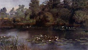 Kew Gardens: Der Seerosenteich (Farblithografie) von Thomas Mower Martin