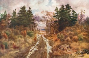 Straße in der Nähe der Bay of Fundy, Herbst