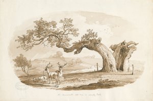 Chartley Hall - Park