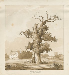 Eccleshall - Baden Old Hall (Sepia-Zeichnung) von Thomas Peploe Wood
