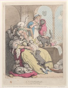 Ein Katamaran oder ein Kinderzimmer einer alten Jungfer, 1. März 1803 von Thomas Rowlandson