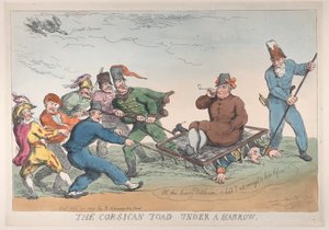 Eine korsische Kröte unter einem Egge, 27. November 1813