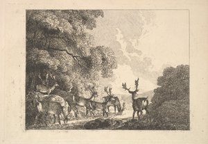 Eine Gruppe von Hirschen beim Trinken, 1784-88