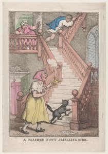 Eine alte Jungfer riecht Feuer von Thomas Rowlandson
