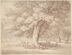 Herde von Hirschen unter einer Eiche von Thomas Rowlandson