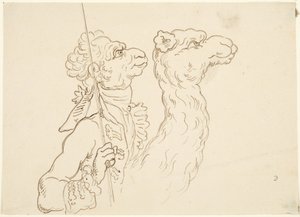 Mann und Kamel