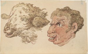 Männerkopf und Schafskopf von Thomas Rowlandson