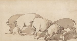 Schweine an einem Trog von Thomas Rowlandson
