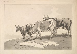 Drei Kühe auf dem Kamm eines Feldes stehend, 1784-87