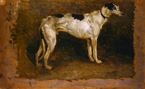 Ein Windhund von Thomas Sidney Cooper