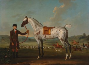 Scipio, ein gefleckter Jäger, Eigentum von Colonel Roche