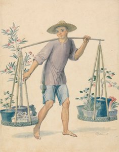 Chinesischer Blumenverkäufer