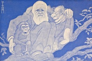 1909 Cartoon Darwin mit Affen (Detail)