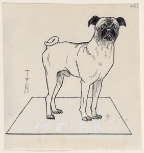 Mops Meier von Thomas Theodor Heine