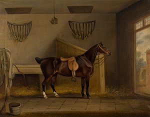 Ein gesattelter Brauner Jäger in einem Stall, ca. 1819