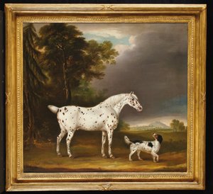 Appaloosa-Pferd und Spaniel, 1807 von Thomas Weaver