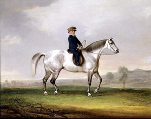 Master Edward Humphries auf seinem grauen Pony von Thomas Weaver