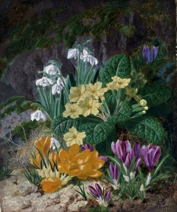 Frühlingsblumen (einschließlich Krokusse und Primeln). Gemälde von Thomas Worsey (1829-1875) Privatsammlung.