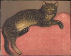 Winter: Katze auf einem Kissen