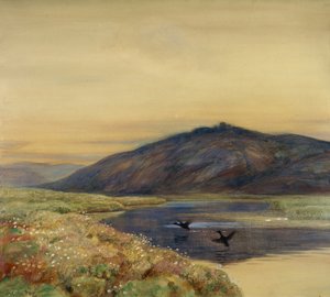 Landschaft mit Vögeln von Thorolf Holmboe
