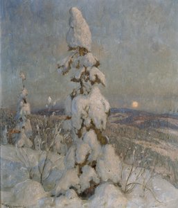 Schneebedeckte Fichte im Mondlicht