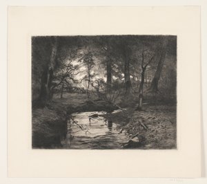 Bach im Borrevejle-Wald von Thorvald Niss