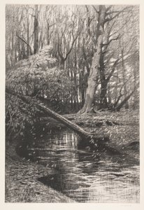Waldlandschaft mit einem Bach von Thorvald Niss