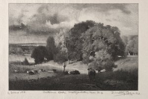 Herbst-Eichen von Timothy Cole