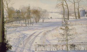 Teichhühner auf der Suche von Timothy Easton