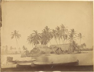 [Limón-Bucht, Isthmus von Darién (Panama)] von Timothy H. OSullivan
