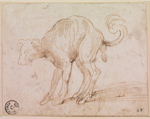 Detail eines Hundes, der das Rote Meer überquert von Titian (c.1488 1576)