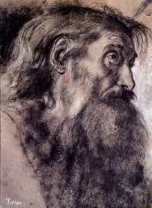 Kopf eines alten Mannes (Zeichnung von Tiziano Vecellio, genannt Tizian, 16. Jahrhundert, Paris, Louvre Museum) von Titian (c.1488 1576)