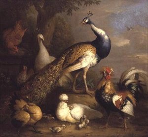 Pfau, Pfauhenne und Geflügel in einer Landschaft
