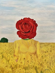 Rosenkopf Gelbes Feld von Tom Blood