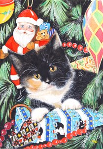 Schwarz-weißes Weihnachtskätzchen von Tony Todd