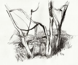Karger Wald Skizze