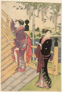 Bewunderung der Glyzinien am Kameido-Schrein