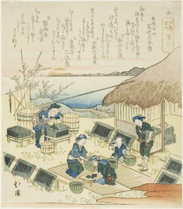Hamagawa, aus der Serie "Ein Reisebericht nach Enoshima (Enoshima kiko)"