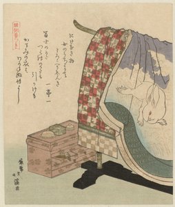 Kimono mit Kaninchen