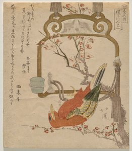 Roter Sittich (Shōjō-inko)