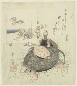 Schildkröten