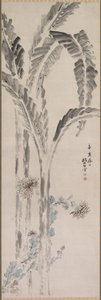 Bananenpflanze und Chrysantheme, 19. Jahrhundert von Tsubaki Chinzan