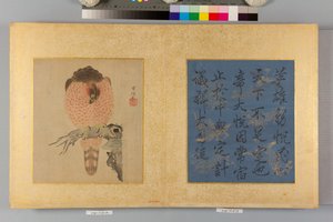 Album von Falken und Kalligraphie von Tsunenobu Kano