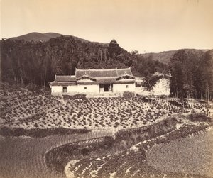 Teefeld und Josshaus in Peling, ca. 1869